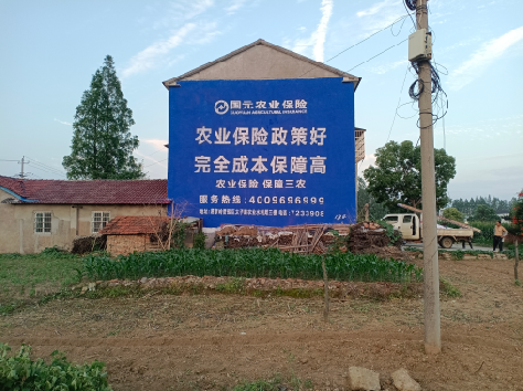 资阳墙体广告的优劣势你知道吗？