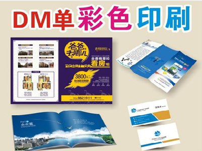 资阳单页印刷，色彩搭配简单。